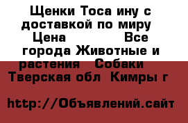 Щенки Тоса-ину с доставкой по миру › Цена ­ 68 000 - Все города Животные и растения » Собаки   . Тверская обл.,Кимры г.